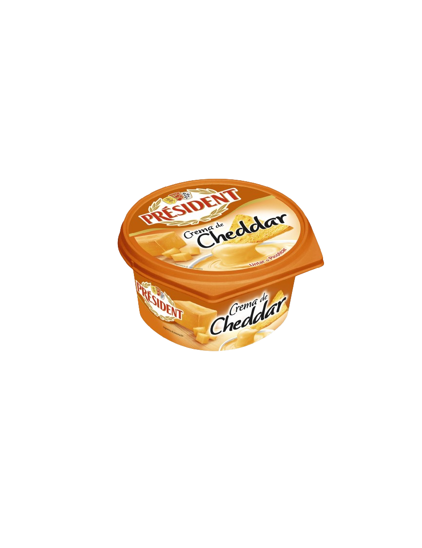 QUESO CREMA CHEDDAR PRESIDENT T/125GR