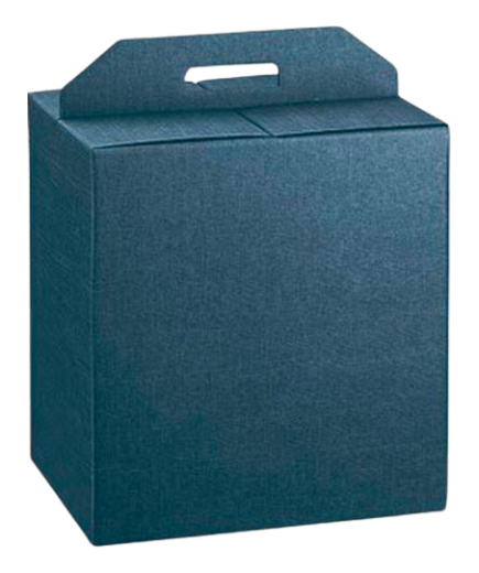 CAJA CARTON AZUL 6 BOTELLAS 453X321X120 UD