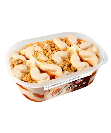 HELADO CASTY SELECCION NATA CON NUECES T/900 ML