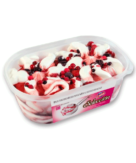 HELADO CASTY SELECCION YOGUR FRUTAS BOSQU T/900 ML