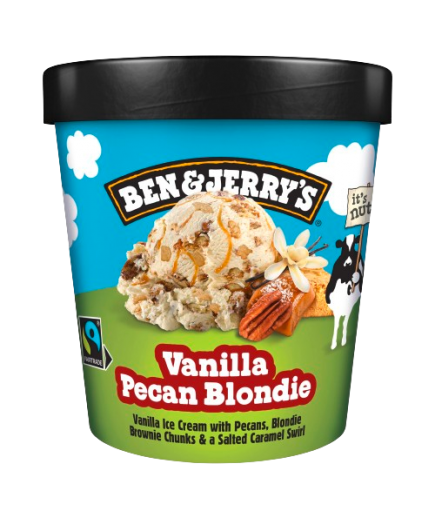 HELADO BEN&JERRYS VAINILLA PECAN T/465ML