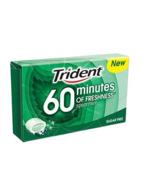 CHICLE TRIDENT GRAGEA 60 MINUTES SPEARMINT 20GR