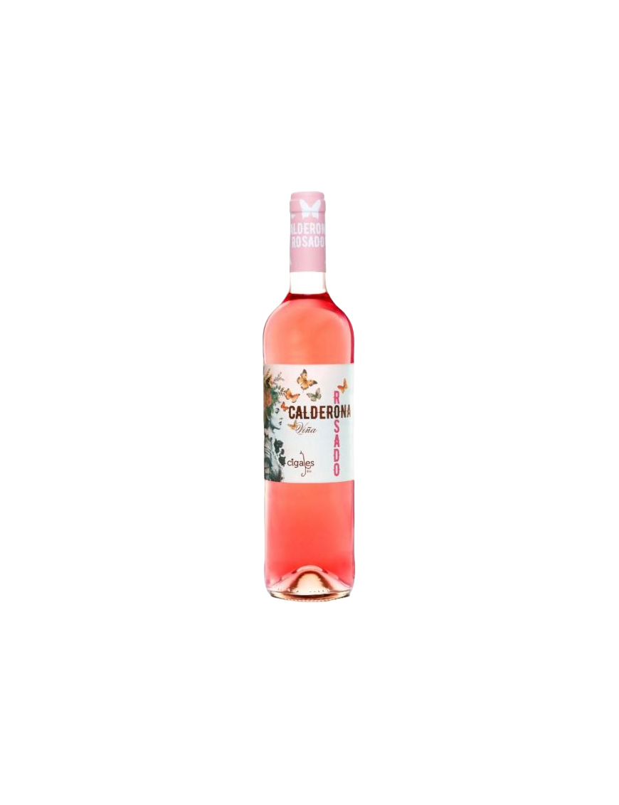 VINO VIÑA CALDERONA ROSADO-23 CIGALES B/75.CL.