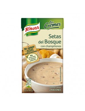 CREMA KNORR SETAS DEL BOSQUE BRICK 500 ML