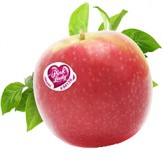 FRUTA MANZANA PINK LADY IMPORT x kg