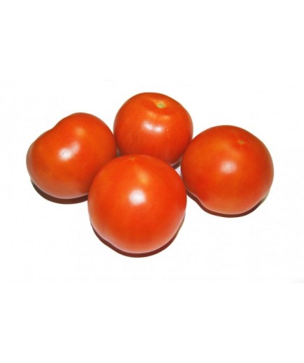 TOMATE BOLA X KG