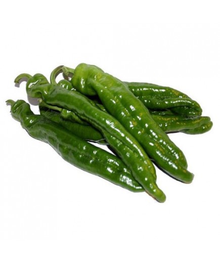 PIMIENTO VERDE ITALIANO 1ª X KG