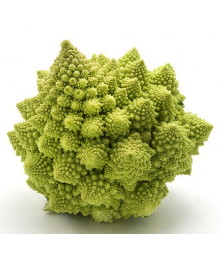 ROMANESCO PIEZA