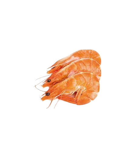 LANGOSTINO COCIDO 20-30 SERPESCA PVP.KG