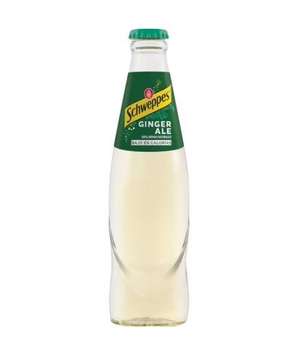 GINGER ALE SCHWEPPES VIDRIO N/RET B/20.CL.