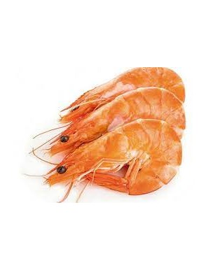 LANGOSTINO COCIDO 45/55.TERRA.PVP.X KG.