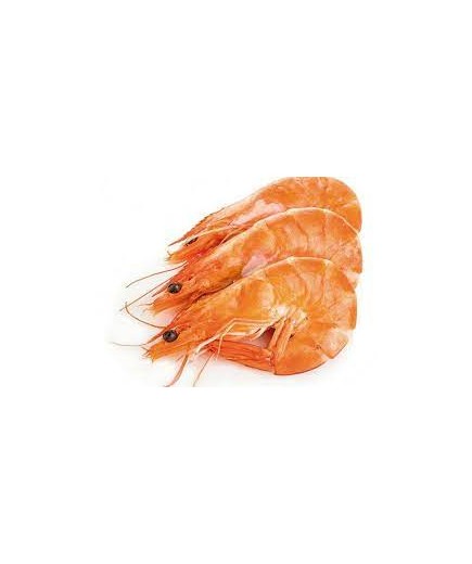 LANGOSTINO COCIDO 45/55.TERRA.PVP.X KG.