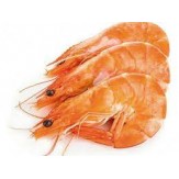 LANGOSTINO COCIDO 45/55.TERRA.PVP.X KG.