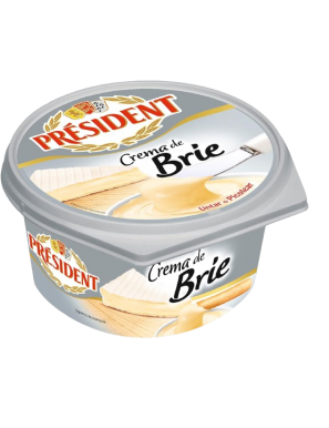 QUESO CREMA BRIE PRESIDENT TARRINA/125.GR