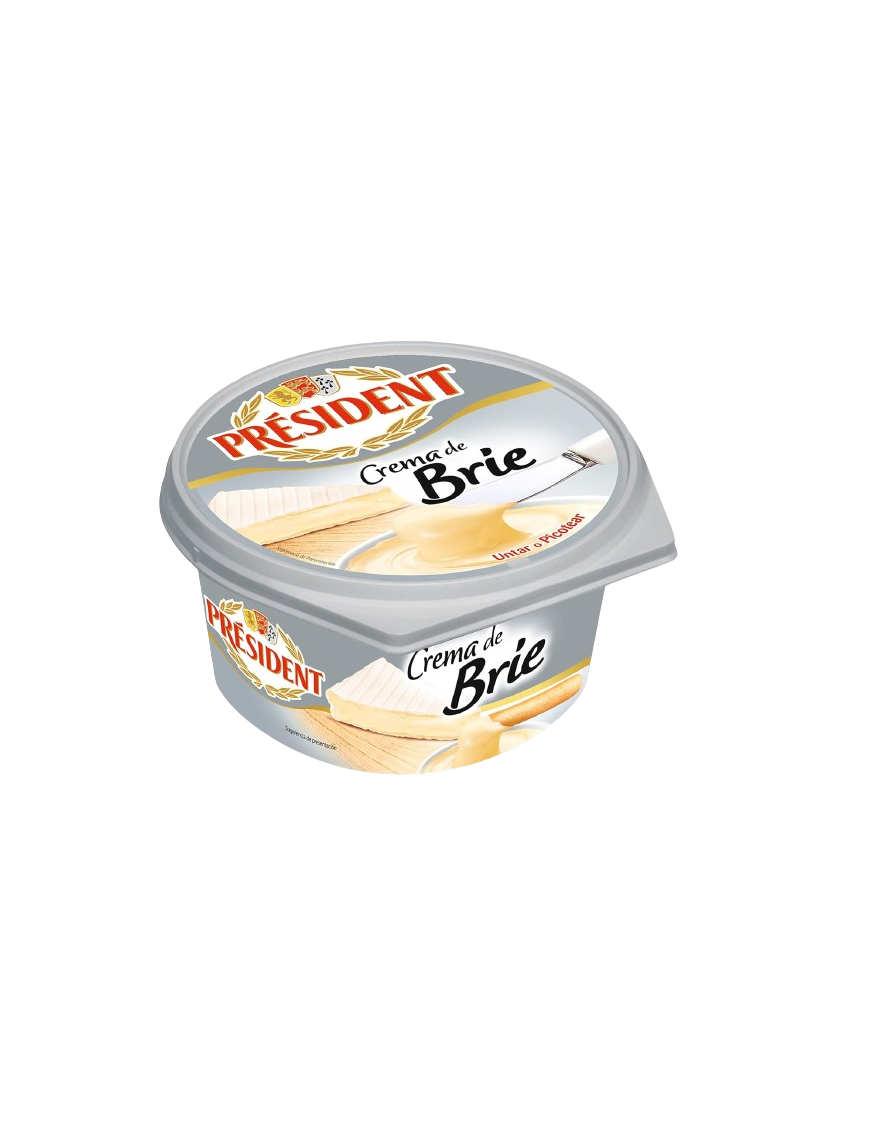 QUESO CREMA BRIE PRESIDENT TARRINA/125.GR