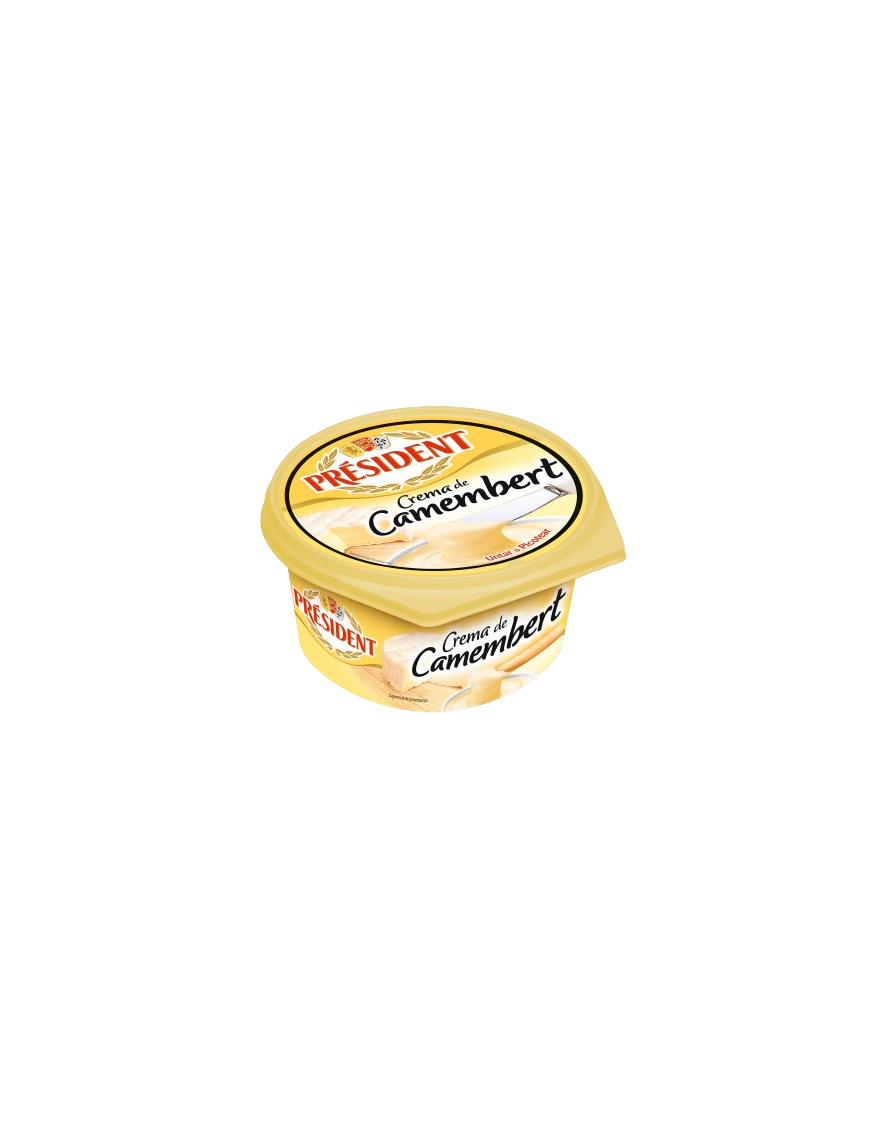 QUESO CREMA CAMEMBERT PRESIDENT T/125 GR