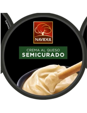 QUESO CREMA NAVIDUL SEMICURADO T/90 GR