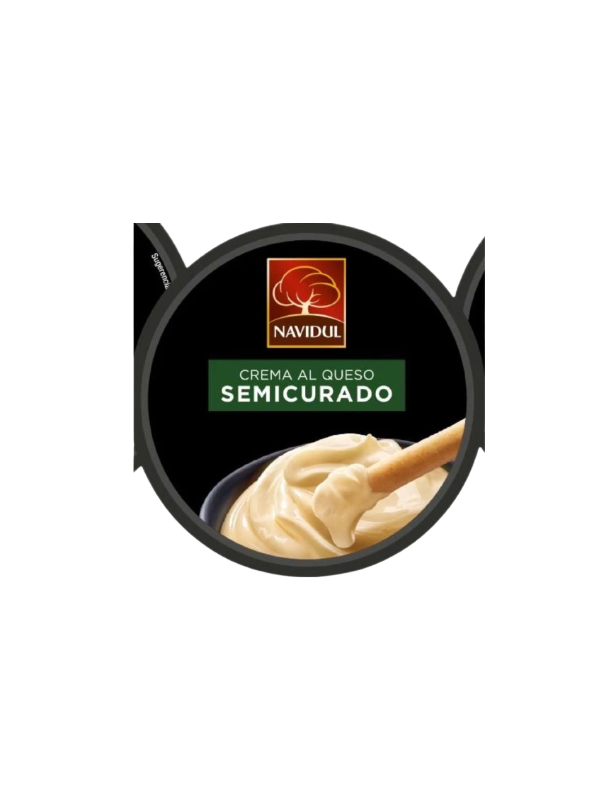 QUESO CREMA NAVIDUL SEMICURADO T/90 GR