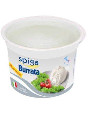 QUESO BURRATA  SPIGA  BOLA VASETTO 150.GR