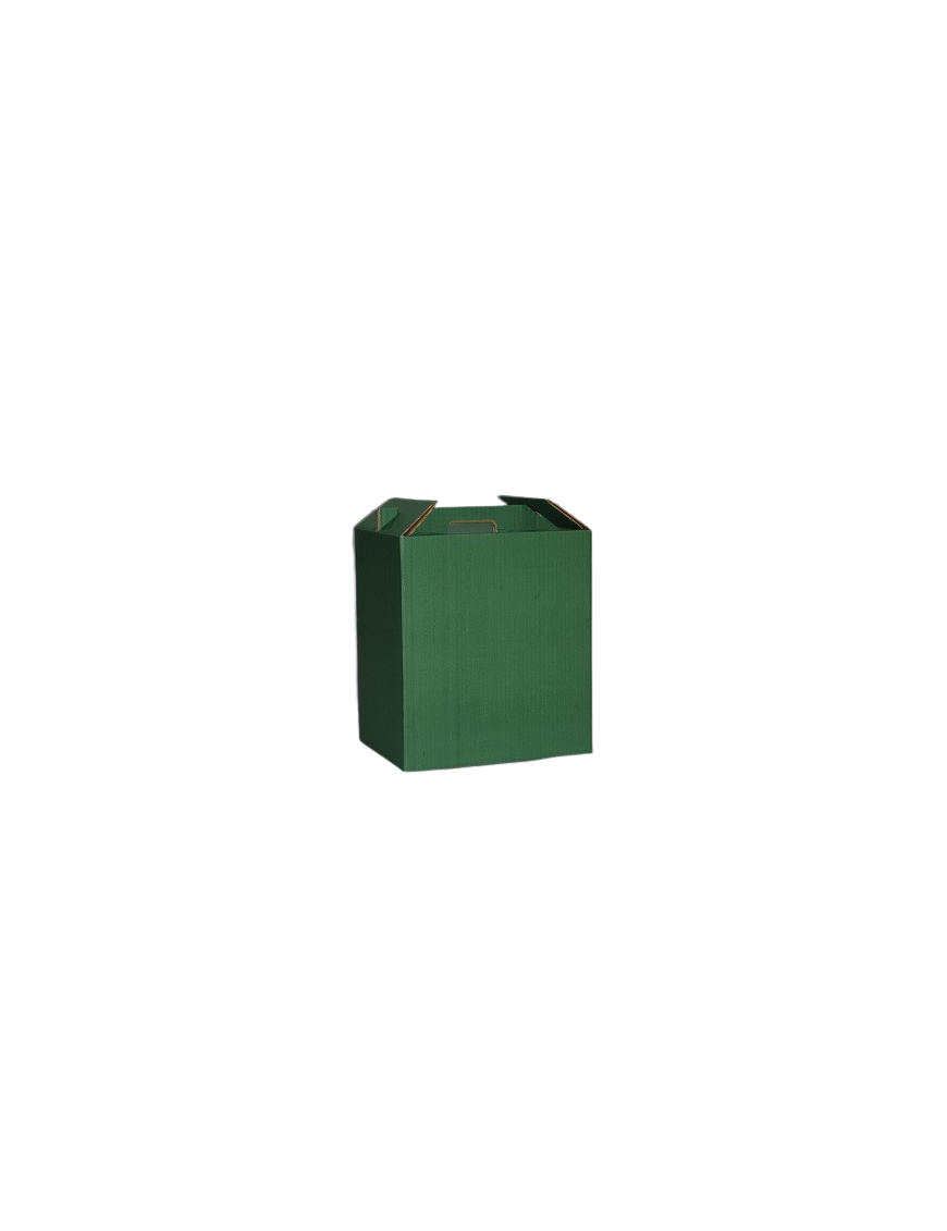 CAJA CARTON VERDE 12 BOTELLAS 785X356X113 UD