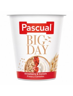 YOGUR PASCUAL BIG-DAY FRESA Y CEREALES PACK-4