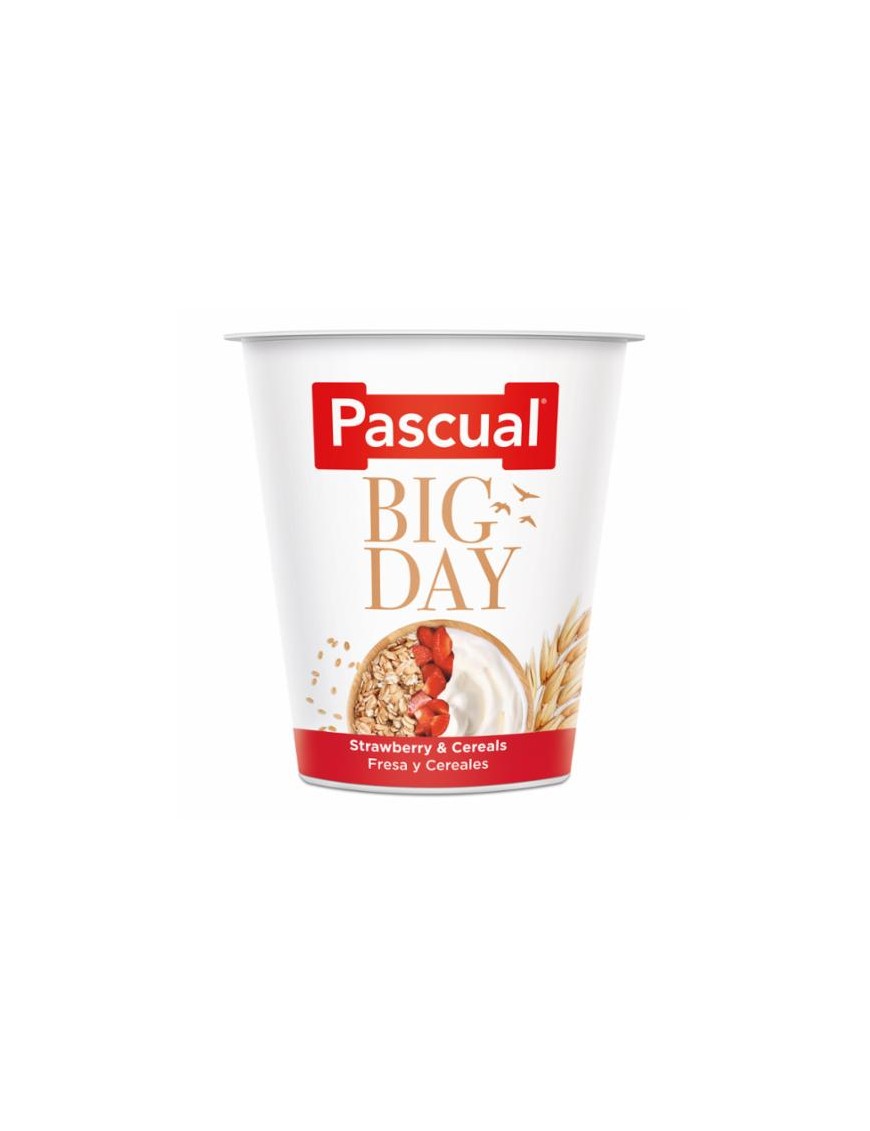 YOGUR PASCUAL BIG-DAY FRESA Y CEREALES PACK-4