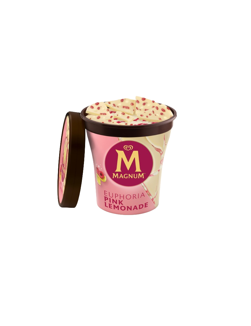 HELADO FRIGO TARRINA MAGNUM EUPHORIA 440ML