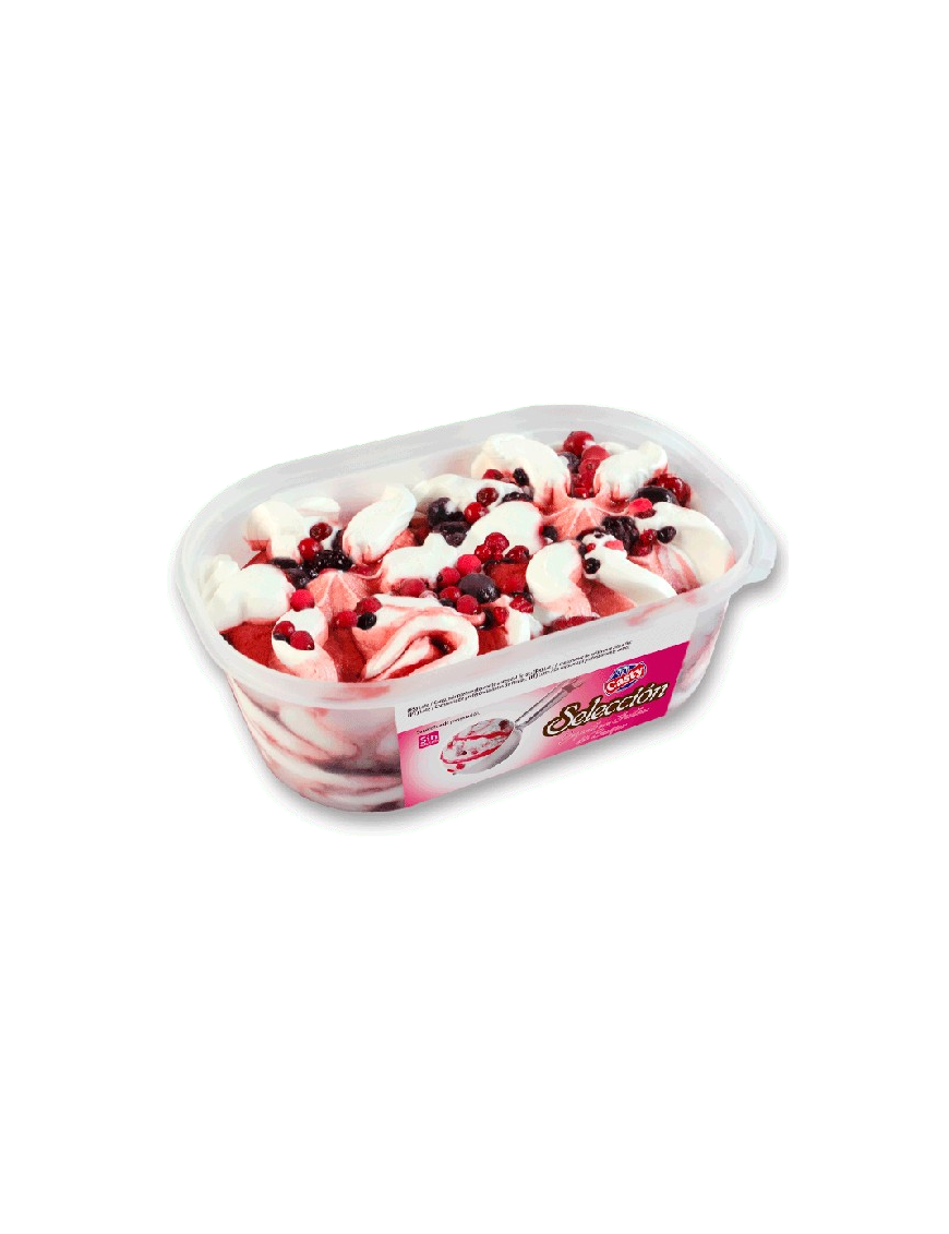 HELADO CASTY SELECCION YOGUR FRUTAS BOSQU T/900 ML