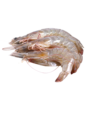 LANGOSTINO CRUDO 21/28 CORAL EST/750GR NETO