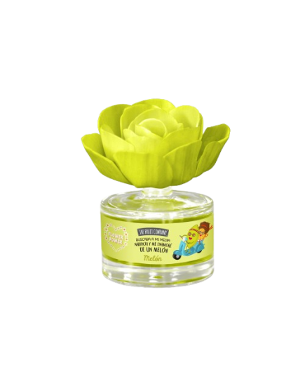 AMBIENTADOR TFC FLOR PERFUMADA MELON B/55ML