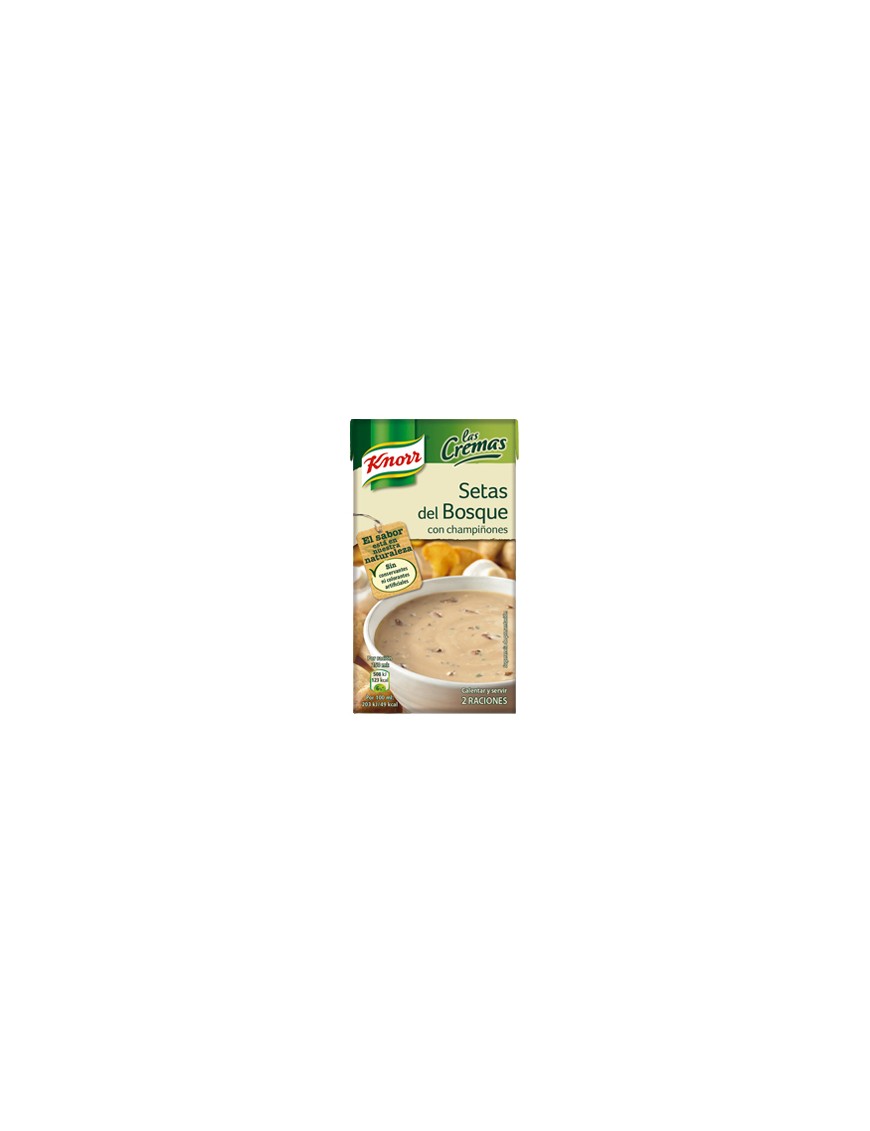 CREMA KNORR SETAS DEL BOSQUE BRICK 500 ML