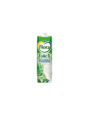 LECHE FLORA FOLICB SEMI (VERDE) BRICK 1 L