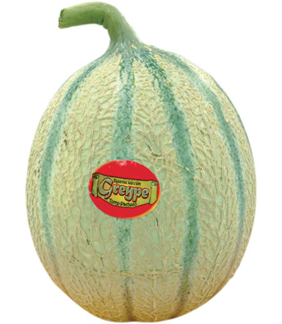 MELON CANTALUP GREYPE X KG