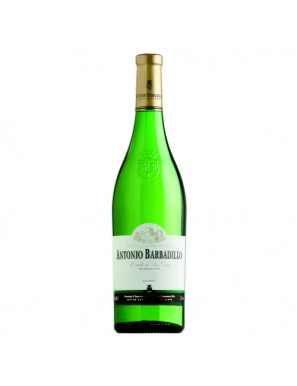 VINO BARBADILLO BLANCO  BOTELLA 75 CL