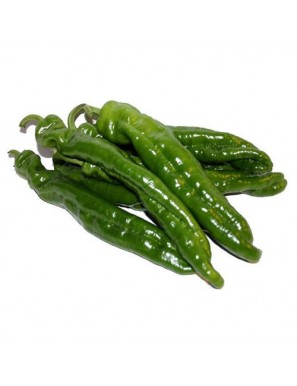 PIMIENTO VERDE ITALIANO 1ª X KG