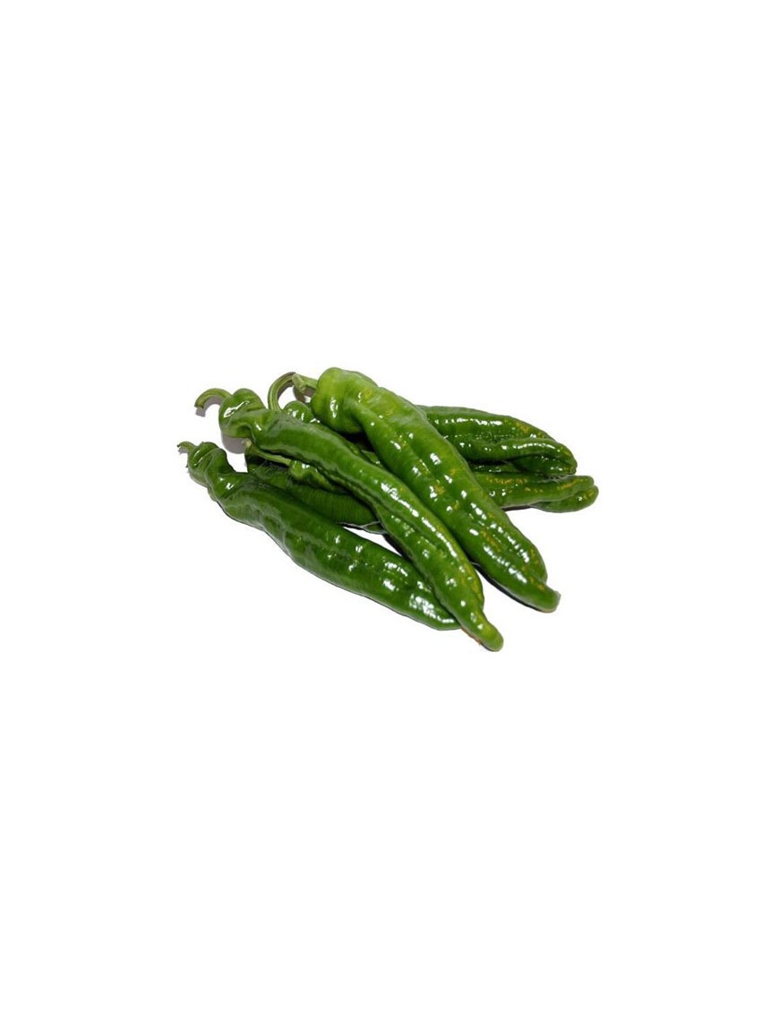 PIMIENTO VERDE ITALIANO 1ª X KG