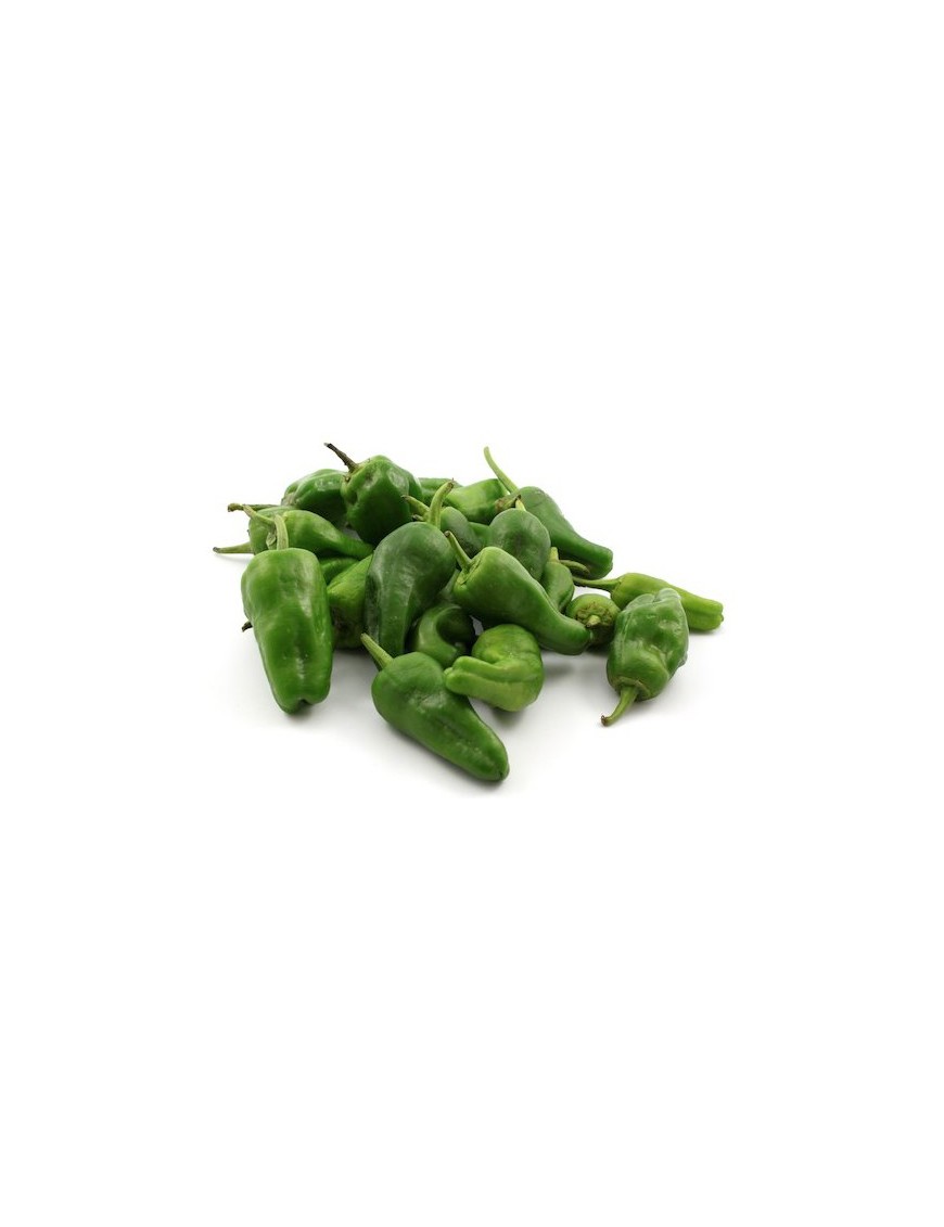 PIMIENTO PADRON CASA P.B/300 GR