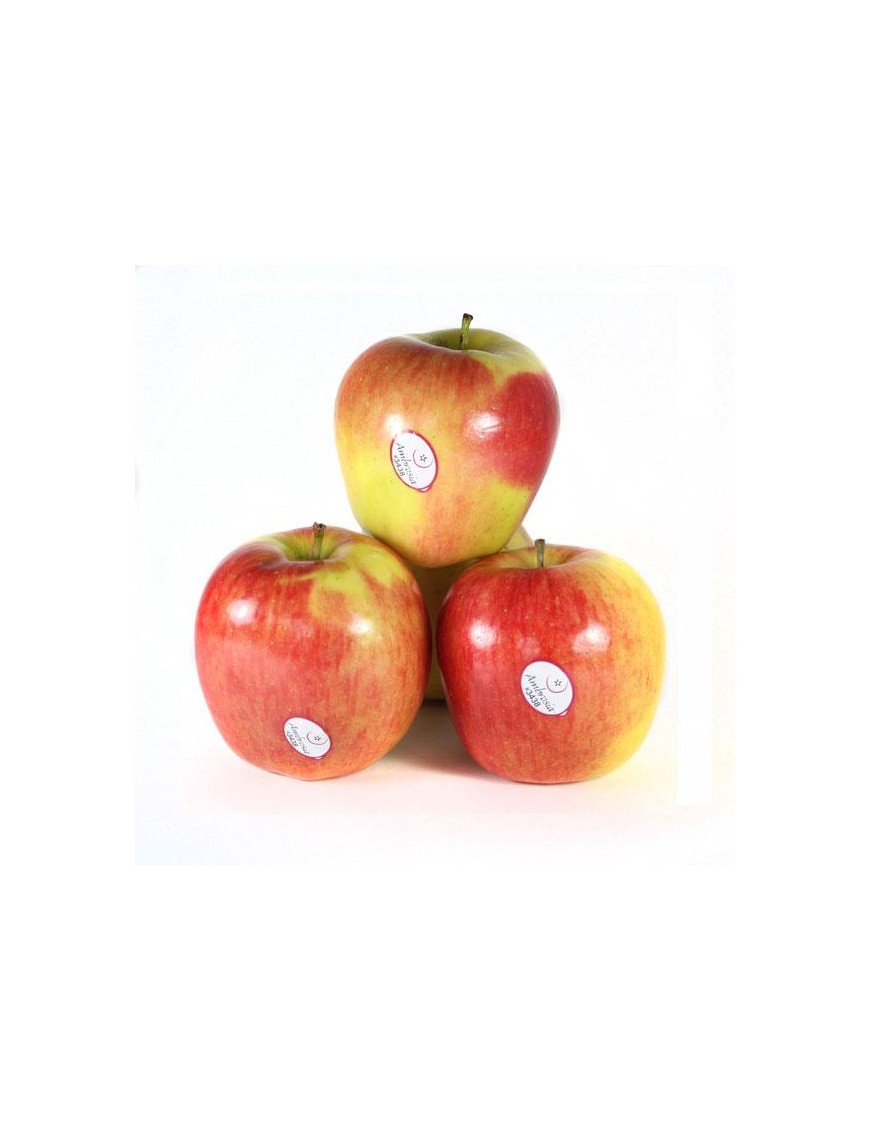 FRUTA MANZANA AMBROSIA x kg