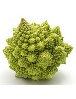 ROMANESCO PIEZA