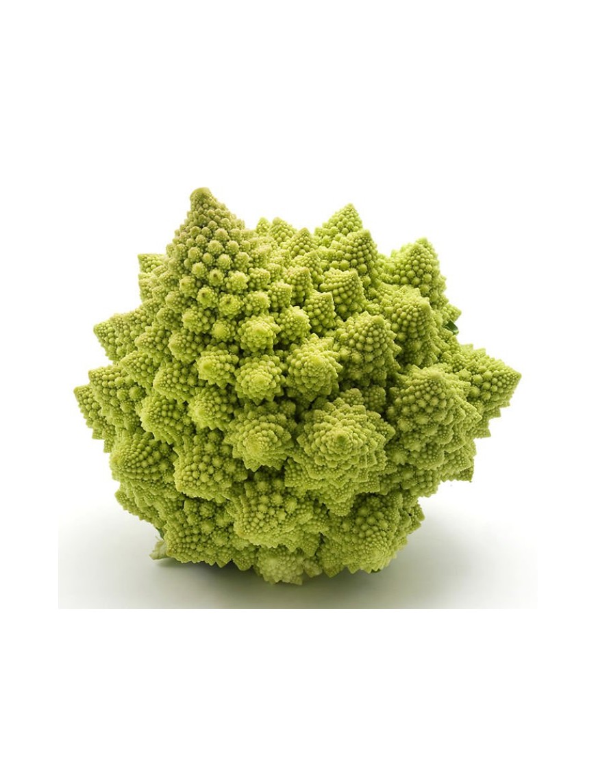 ROMANESCO PIEZA