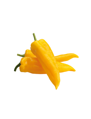 PIMIENTO AMARILLO ITALIANO X KG