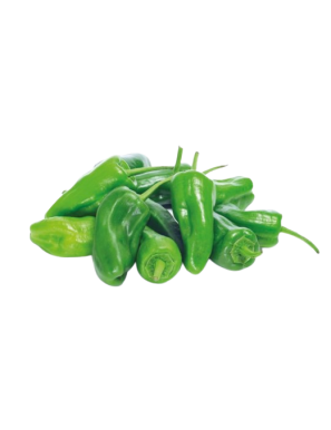 PIMIENTO PADRON B/180GR