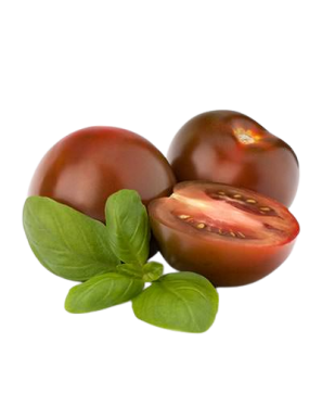 TOMATE KUMATO X KG