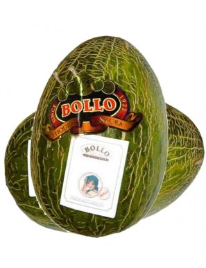 MELON BOLLO X KG