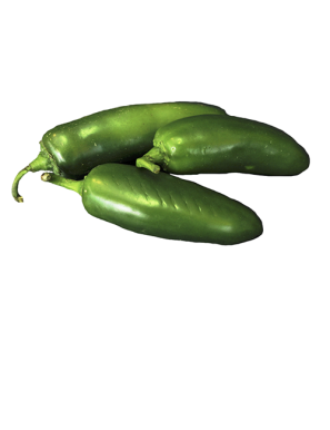 CHILE JALAPEÑO X KG