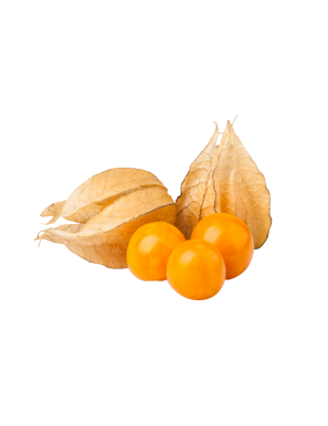 ARCAGERGES PHYSALIS BANDEJA 100 GR