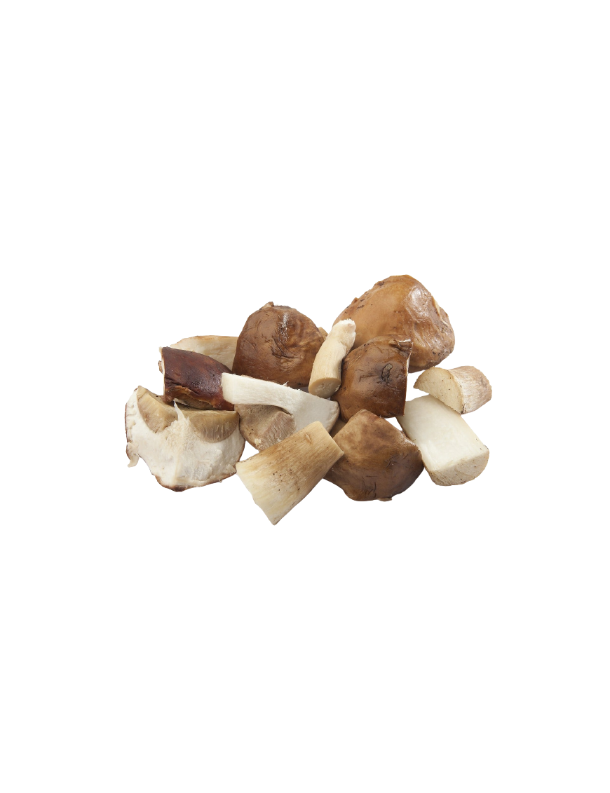 SETA BOLETUS FRESCO BOLSA 2 KG