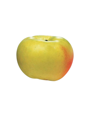 MANZANA VERDEDONCELLA 1ª X KG