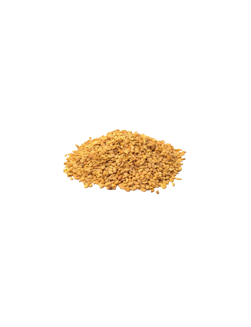 AJONJOLI GRANO DORADO CONSTANCIA B/MEDIANO 240 GR.