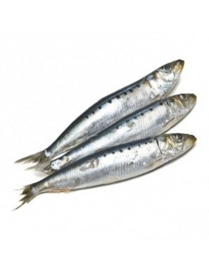 SARDINAS  FRESCA CANTABRICO.KG